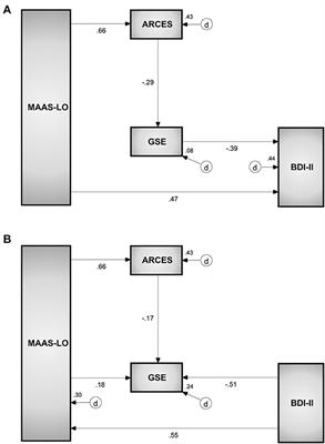 Influences of inattention on perceived self-efficacy, stress, and depression